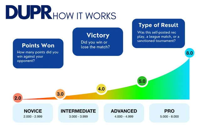 How DUPR ratings work infographic